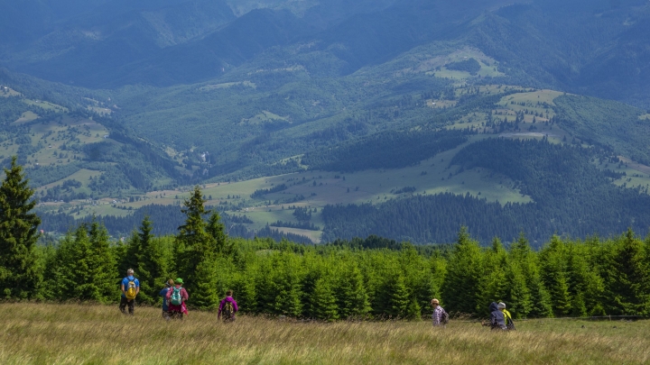 Sustainability Report of Harghita County 2025